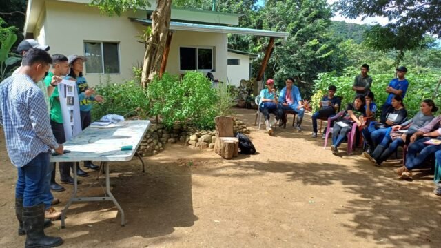 Poolside view at La Armonía eco resort with jungle surroundings, San Juan del Sur